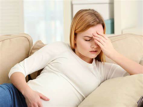 Ovario Fertilización In Vitro Fertilab