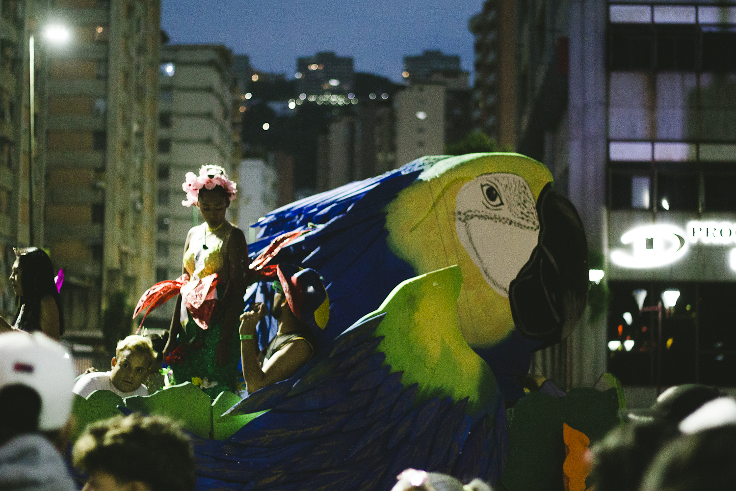Carnavales 2025 Celebración Fiestas Caracas