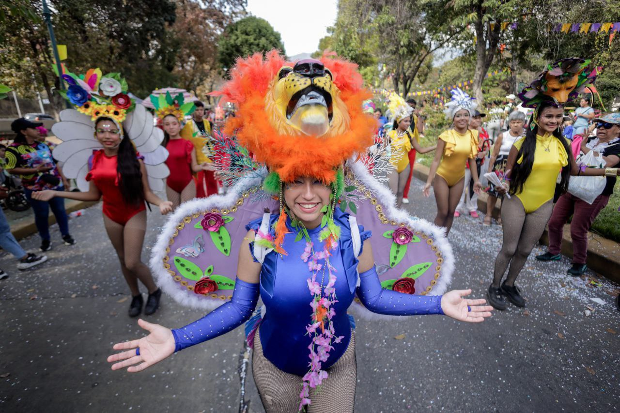 Carnavales en Caracas