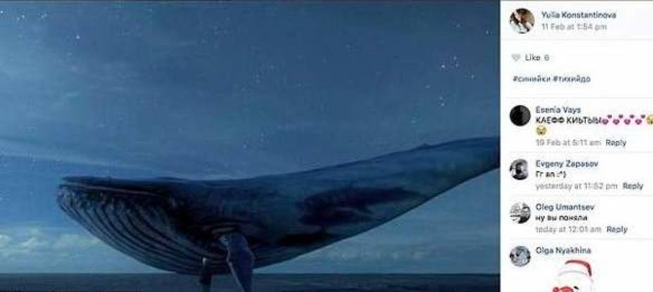 ballena-azul-ciberamenaza-que-mata_180986.jpg