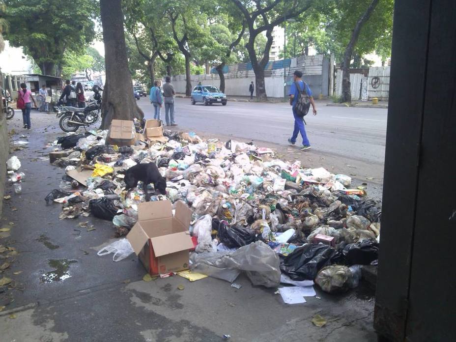 denuncian-acumulacion-basura-paraiso_181144.jpg