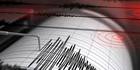 Temblor se sintió en el estado Miranda