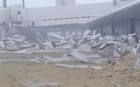 Paso del huracán Irma causó estragos en aeropuerto de San Martín