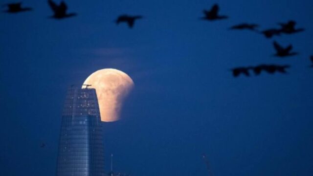 El "dramático" cambio de temperatura durante el eclipse de la superluna