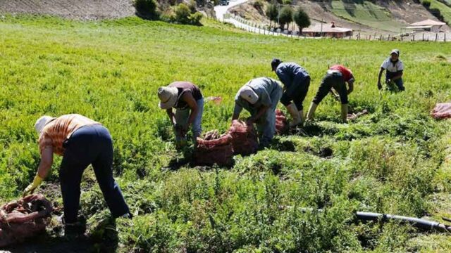 Advierten que el país cuenta con solo 30% de los alimentos requeridos