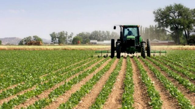 Saúl López: “Producción de alimentos en Venezuela se asemeja a la de países en guerra”