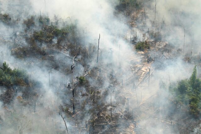 CAF donará medio millón de dólares para incendios en el Amazonas