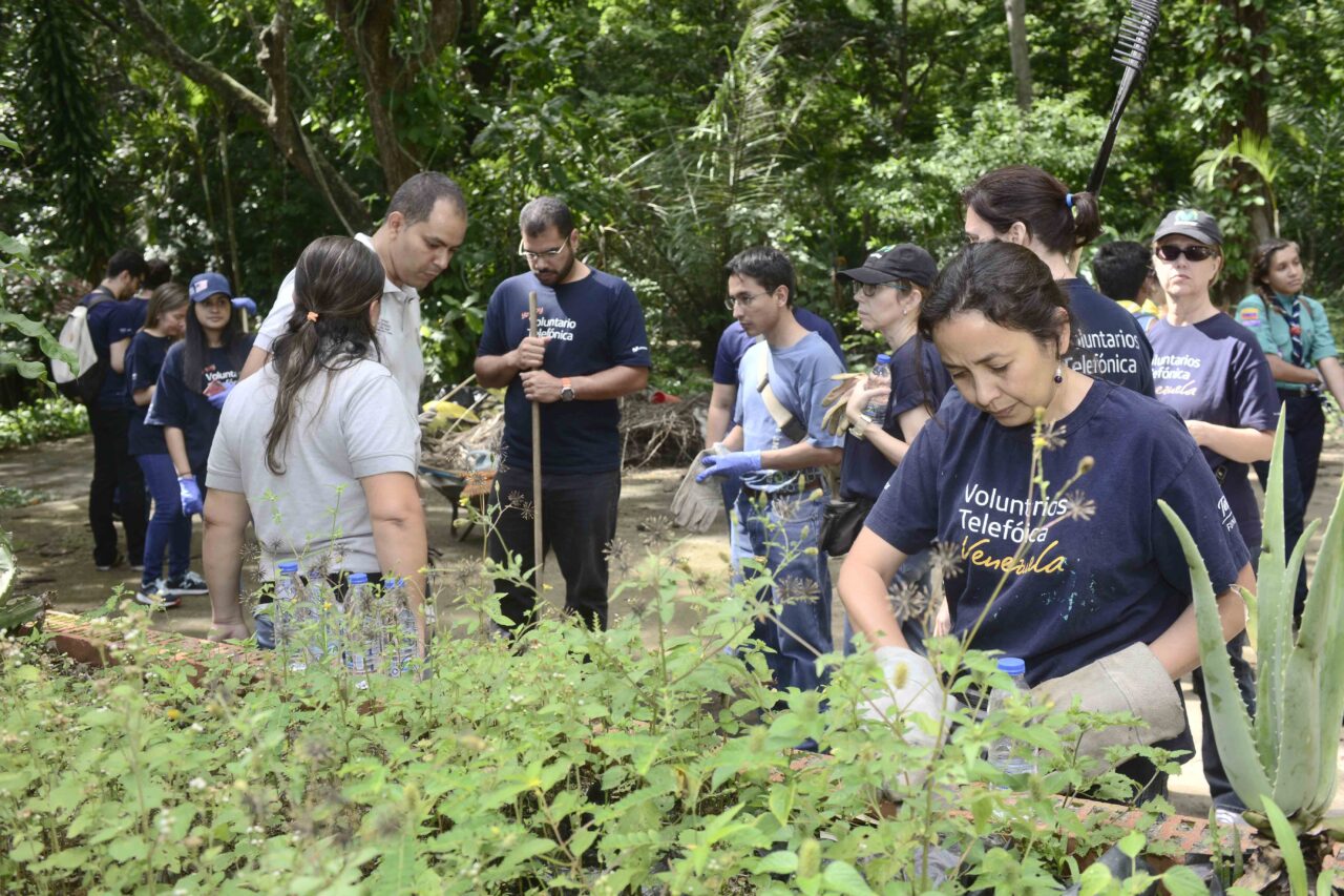 Voluntariado Movistar