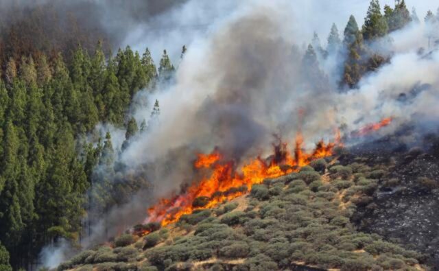 Incendio forestal quema más de mil hectáreas en la Gran Canaria