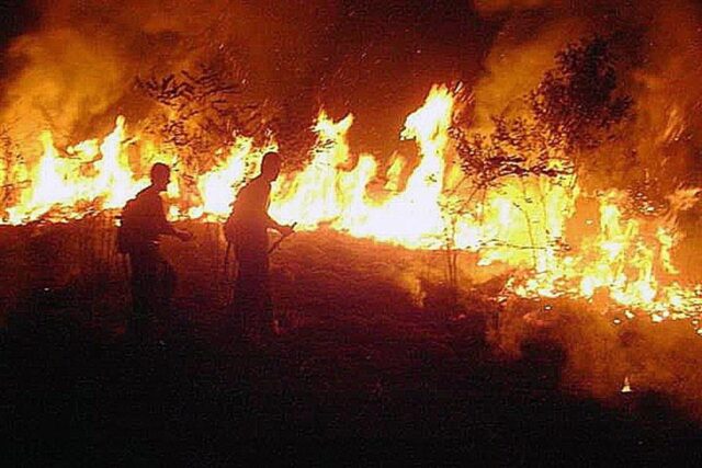 1.130 nuevos incendios se registraron en la Amazonía entre viernes y sábado