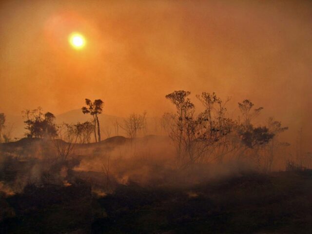 Minería ilegal: crimen ambiental en la Amazonía venezolana