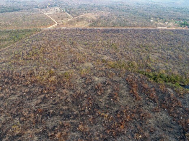 ¿Cuál es la causa de los incendios que devoran la Amazonia brasileña?