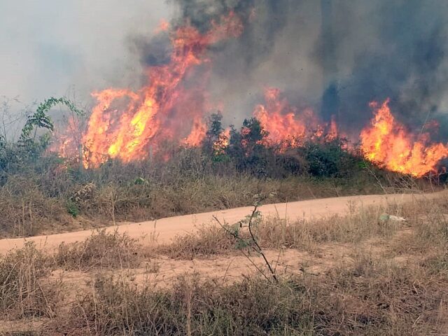 El humo de los incendios en el Amazonas llegó al norte de Argentina
