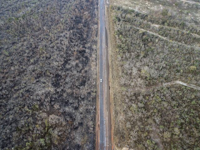 Las fotos engañosas de los incendios en la Amazonia