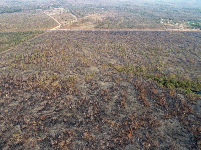 Bolsonaro reitera que las ONG son las "mayores sospechosas" por incendios en la Amazonia