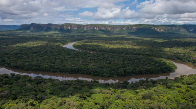 Frenan deforestación de 1.556 hectáreas en el corazón de la Amazonía colombiana