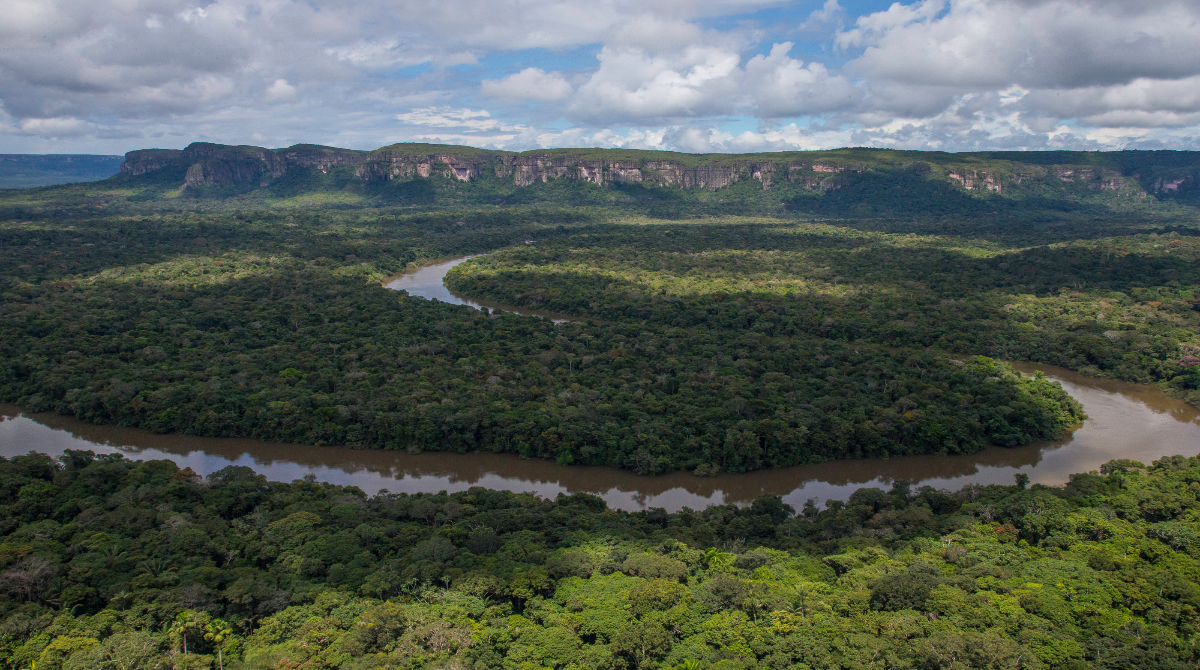 Amazonía Colombia