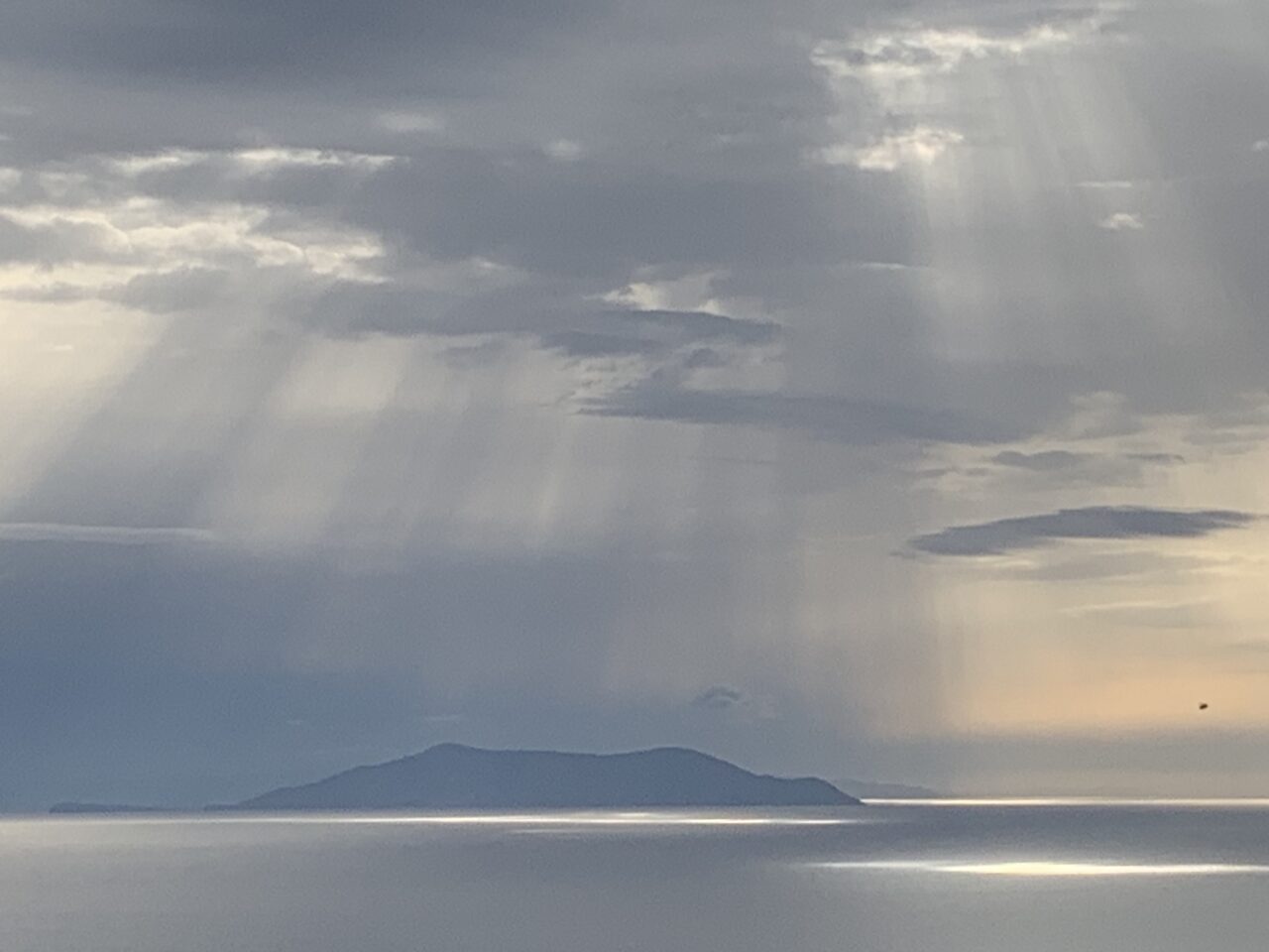 helena arellano, un paisaje