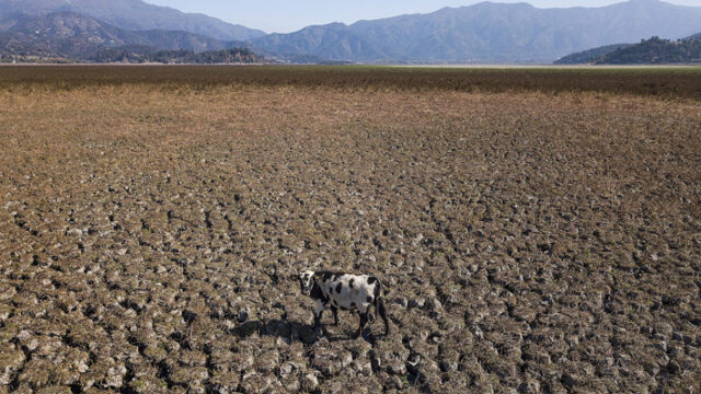 Gobierno chileno extendió decreto de emergencia agrícola