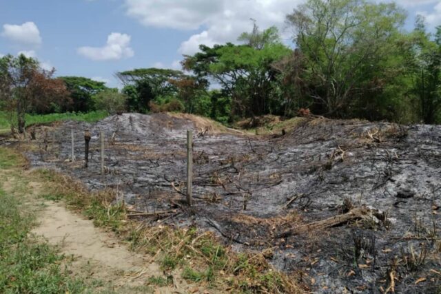 Denuncian que delincuentes intentan invadir terrenos de la ULA
