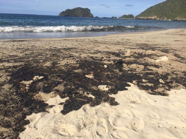 #EnTwitter Bahía de Cata en emergencia por derrame petrolero
