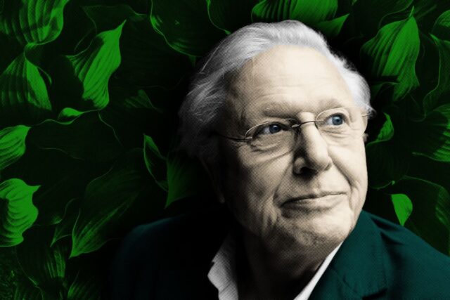 Netflix y BBC se unen para producir un documental de historia natural