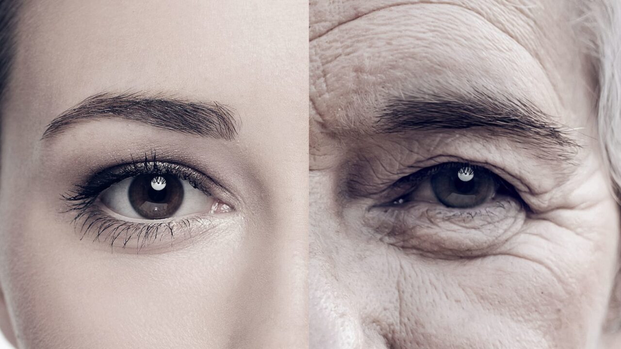 FaceApp