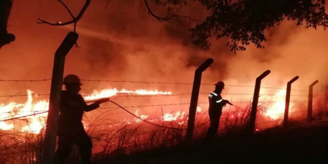 Más de 70 hectáreas afectadas por incendio forestal en Cundinamarca