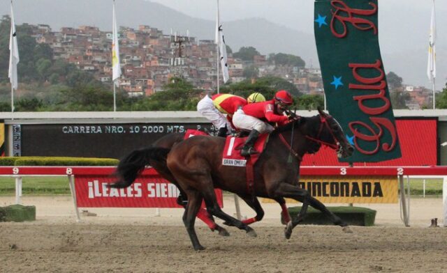 Gran Omero ahora le apunta al Clásico del Caribe