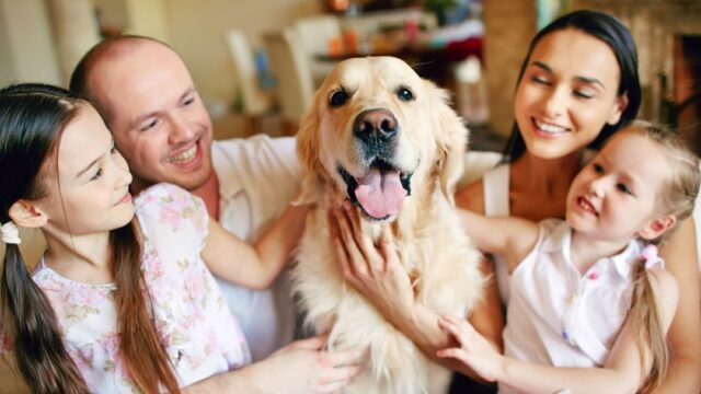 Tener un perro ayuda a prevenir enfermedades cardiovasculares