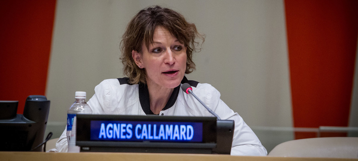 Agnes Callamard, ONU