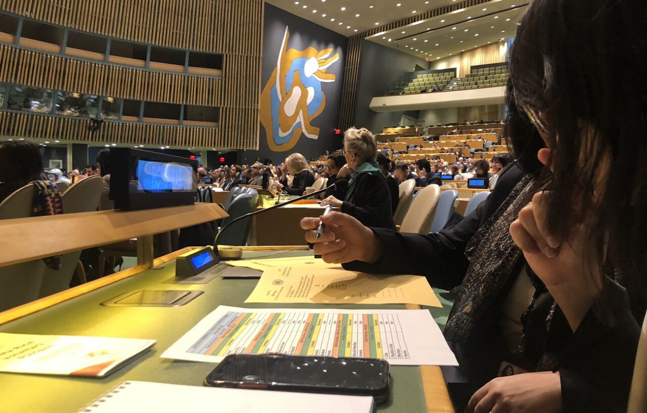 Votación ONU Diego Arria