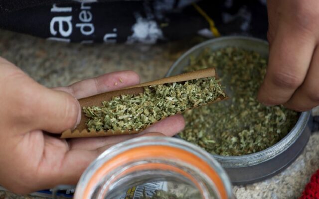 EE UU decomisó más de 19 toneladas de cocaína y marihuana en Latinoamérica