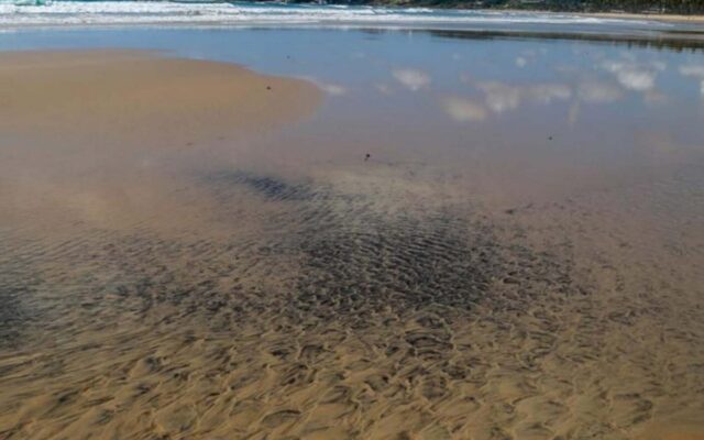 Estado brasileño declara emergencia por avance de derrame de crudo en playas