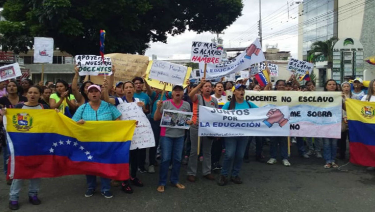 docentes