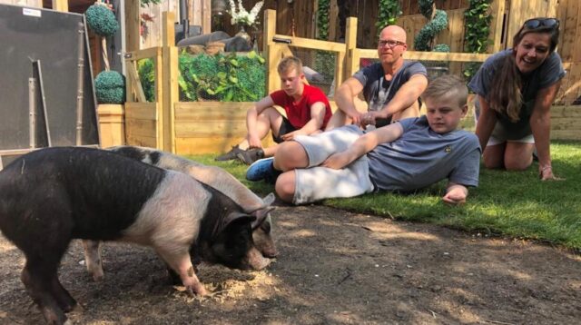 Un reality show hace decidir a una familia entre comerse o no a su mascota
