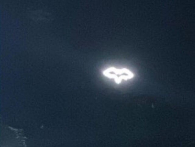 Murciélago de Lacava ilumina las noches de Valencia