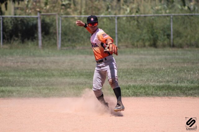 Osos de Aragua lidera la Liga Independiente de Beisbol
