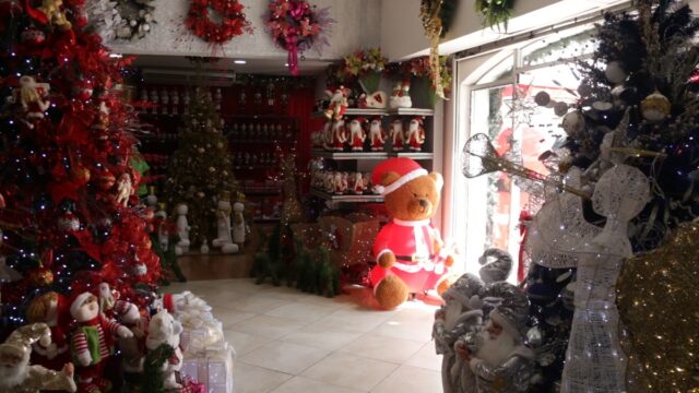 Comerciantes sorprendidos por el aumento de las ventas de arbolitos de Navidad