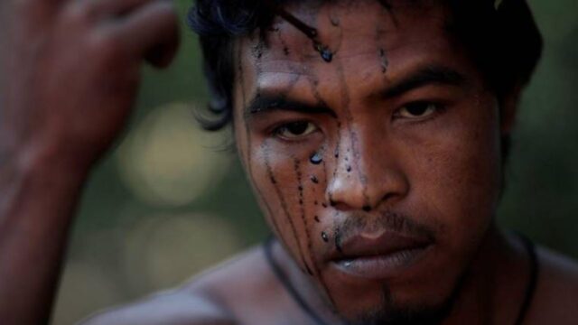 Madereros asesinaron a tiros a guardián indígena de la Amazonía en Brasil