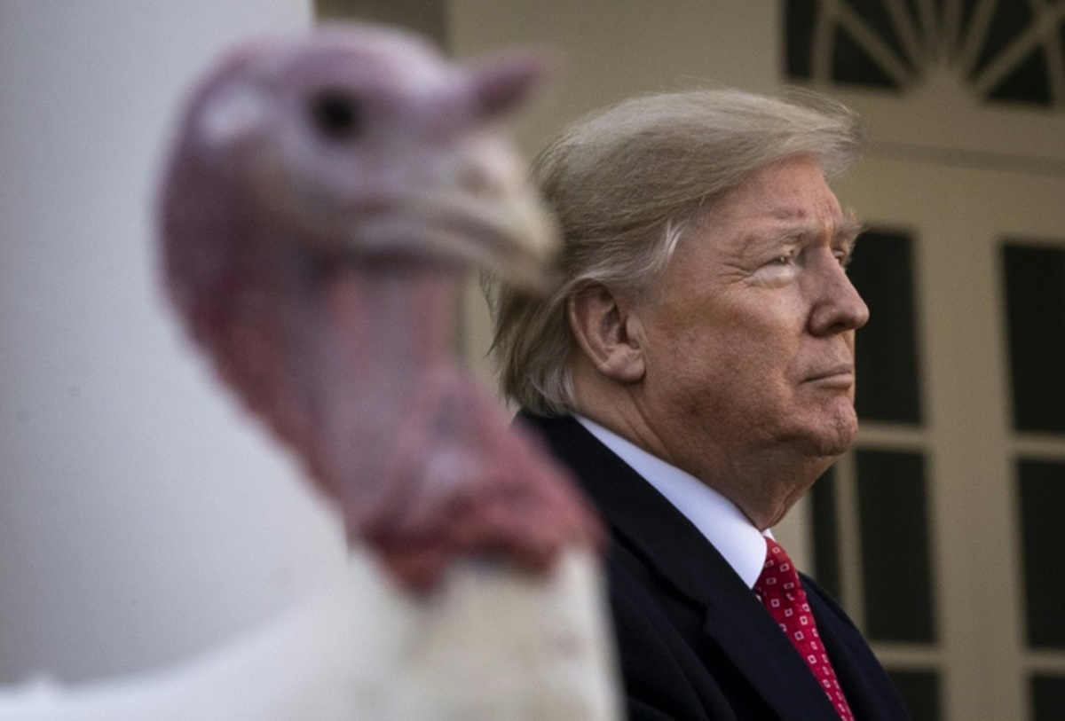 donald trump