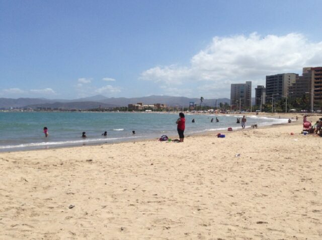 Tiburón ballena causó pánico en playas de Lechería en Anzoátegui