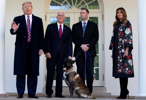 Trump condecoró a Conan, la perra de la operación en que murió Al Bagdadi