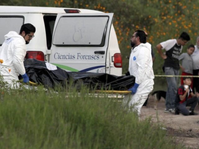 Hallaron 50 cuerpos en una finca del estado de Jalisco