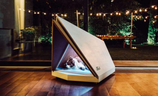 La casa para perros que aísla el ruido de los fuegos artificiales