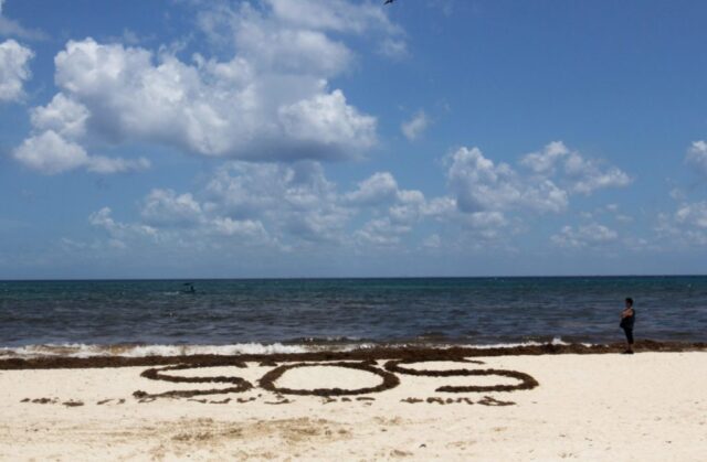 El cambio climático mermará el oxígeno de los océanos hasta 4% en 2100