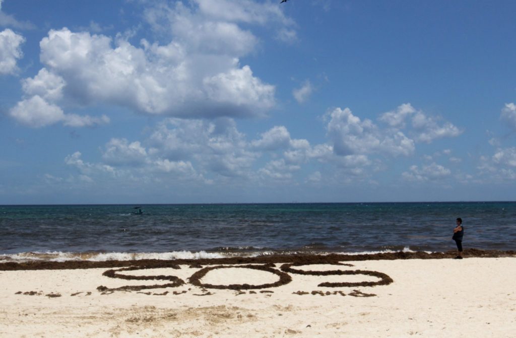 Cambio climático