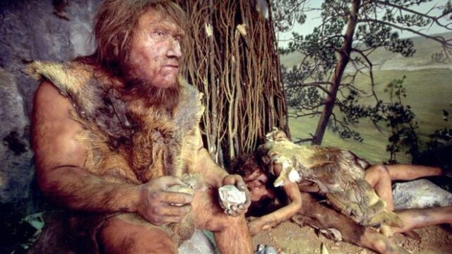 Cómo los humanos se domesticaron a sí mismos antes de que a cualquier otro animal