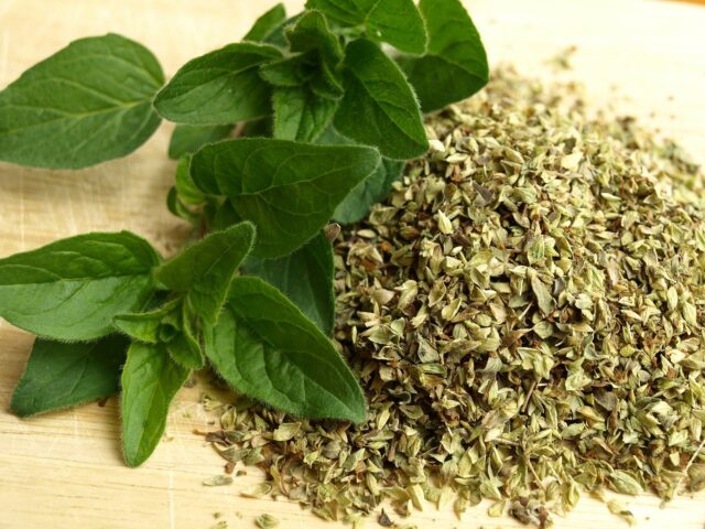 Beneficios del té de orégano