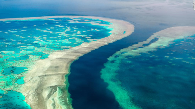 La Gran Barrera de Coral de Australia está en proceso de deterioro "masivo"